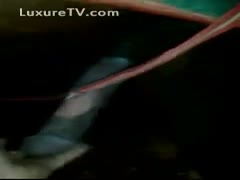 A curious man teases a horse's cock by grabbing it.
